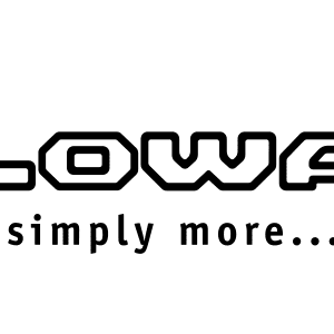 LOWE Logo